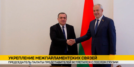 Минск и Тбилиси укрепляют связи: в Палате представителей прошла встреча с послом Грузии