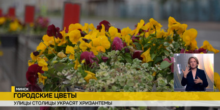 Осенние краски Минска: город меняет цветочное оформление