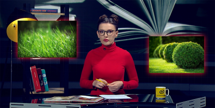 Как защититься от клещей: правильная одежда, репелленты и проверка после прогулки
