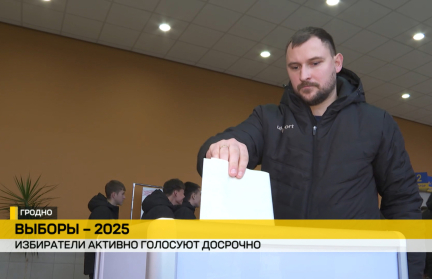 В Беларуси продолжается досрочное голосование: как прошел второй день