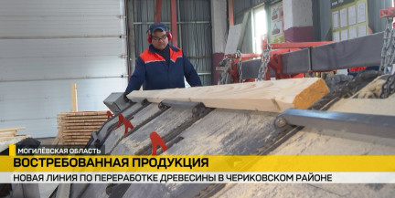 Беларусь наращивает деревообработку: планы на новые производства и экспортный потенциал