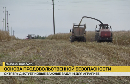 Основа продовольственной безопасности. В Беларуси продолжается уборочная кампания