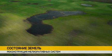 7 июня в Беларуси отмечают День мелиоратора
