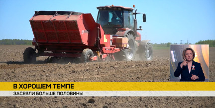 В Беларуси засеяли более половины запланированных площадей кукурузы