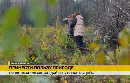 Работники Минсвязи приняли участие в акции «Дай лесу новае жыццё!»