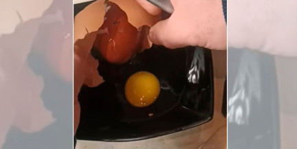 Удивительный случай. В Беларуси курица снесла яйцо-матрешку