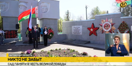 В Витебском районе высадили «Сад памяти» в честь героев Великой Победы