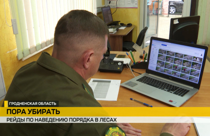 Чисто там, где не сорят. Как проходит борьба с теми, кто оставляет мусор в лесу – репортаж ОНТ