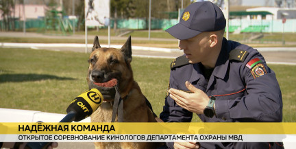 Открытые соревнования по служебному многоборью проходят под Минском