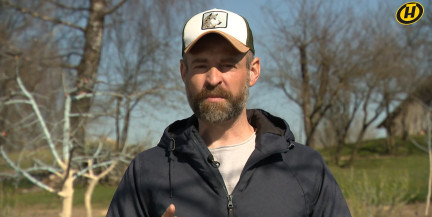 Могут ли арбузы, дыни и огурцы ужиться рядом, рассказал садовник Кастрицкий