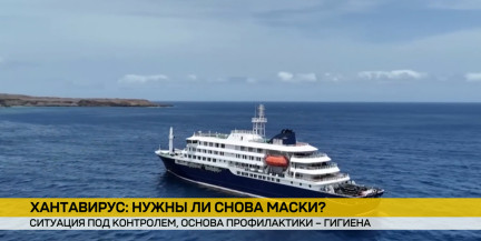 Эпидемиологи Беларуси и России держат ситуацию с хантавирусом на контроле. Репортаж ОНТ