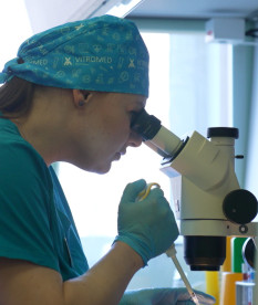 Господдержка ЭКО в Беларуси: новый Указ сделает процедуру более доступной