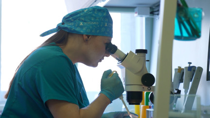 Господдержка ЭКО в Беларуси: как новый указ сделает процедуру более доступной