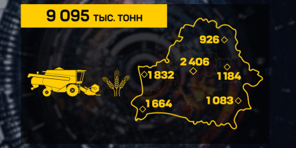 98% убрано: аграрии бьют рекорды по темпам. Каким будет каравай?
