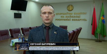 Белорусы в 2025 году спасли от сноса 7 тысяч домов. Сколько из них продали за 1 базовую, рассказали в Госкомитете