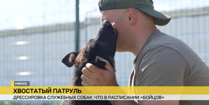 Как готовят к службе боевых собак, рассказали в Департаменте охраны МВД