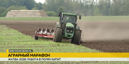 Уборочная-2026: аграрии Беларуси одновременно убирают урожай и закладывают будущий. Репортаж ОНТ