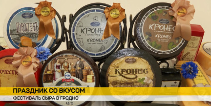 Сыр с медом и мятой и сырный рекорд: в Гродно выбрали лучшие сыры страны