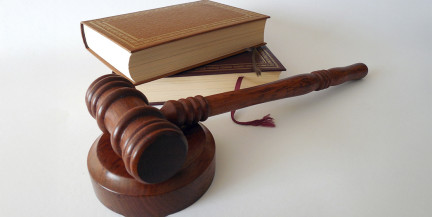 Принудительное лечение назначено мужчине, напавшему на ребенка в Шереметьево