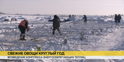 Белорусские помидоры круглый год? Под Минском скоро появится комплекс энергосберегающих теплиц