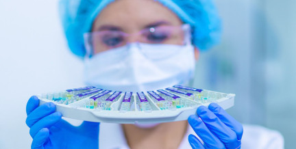 Может ли вирус Нипах появиться в Беларуси, рассказали в Минздраве