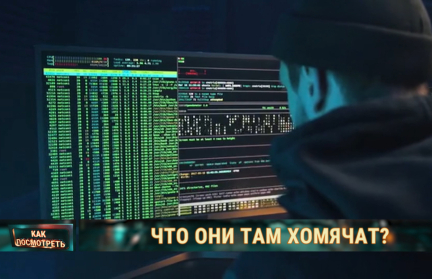 Что за хомяки набрали популярность среди белорусов и при чем здесь криптовалюта