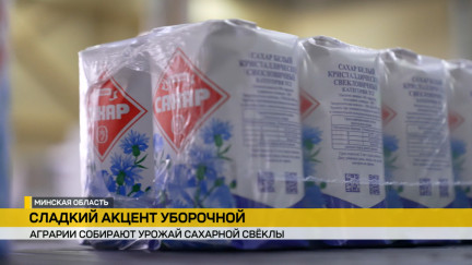 В Беларуси собрано больше 3,5 млн тонн сахарной свеклы – каков путь корнеплода от поля до завода