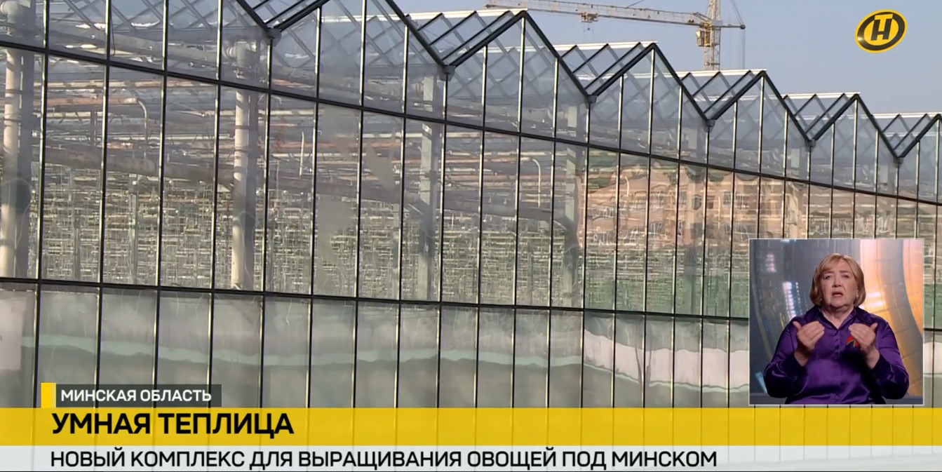 умные теплицы под Минском