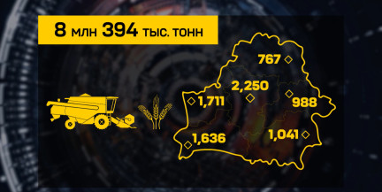 Жатва – главная кампания лета: в стране намолочено почти 8,4 миллиона тонн зерна