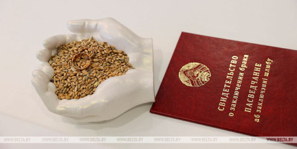 Единую информационную систему органов ЗАГС внедрят в Минске в 2026 году