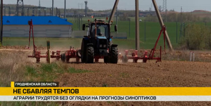 Посевная кампания в разгаре: в Беларуси сеют лён, рапс, сахарную свеклу и кукурузу