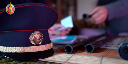 Оружие под контролем: в Беларуси с 19 по 23 октября пройдет профилактическое мероприятие «Арсенал»