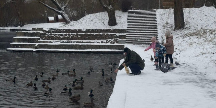 Как помочь пернатым пережить морозы: рекомендации эксперта