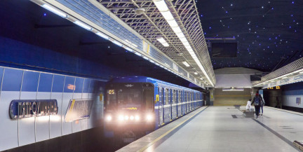 Можно ли в метро перевозить животных