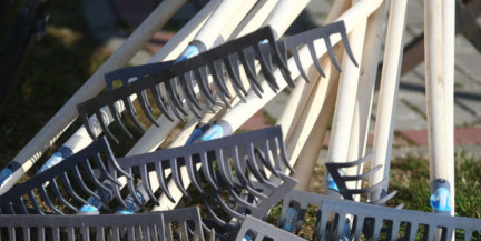 28 марта на Гомельщине пройдет областной субботник