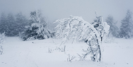 Циклон «Улли» продолжает бушевать в Беларуси. Синоптики прогнозируют сильный снегопад и гололед