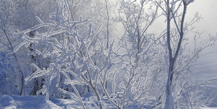 Беларусь ожидают обильные снегопады, метели и морозы до -20°C. Погода 8-10 января