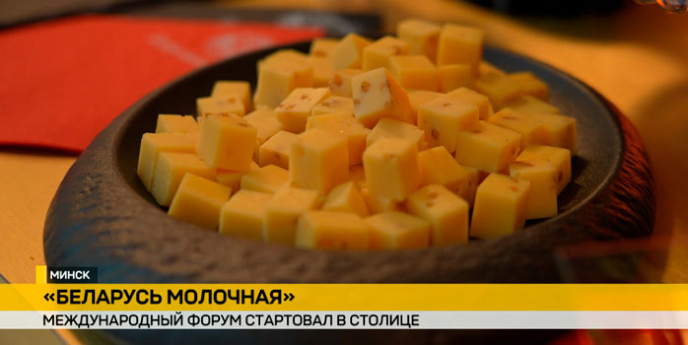 В Минске стартовал международный форум о молочном производстве