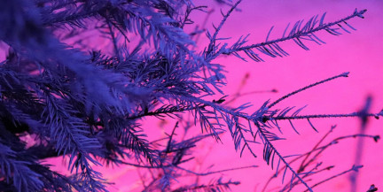 Где в Беларуси был зафиксирован самый большой «минус» в ночь на 2 января?