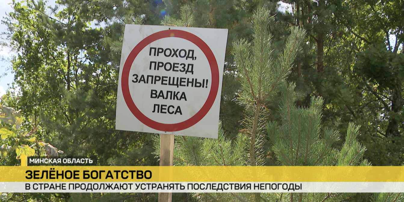 В Беларуси устраняют последствия прохождения мощного грозового фронта