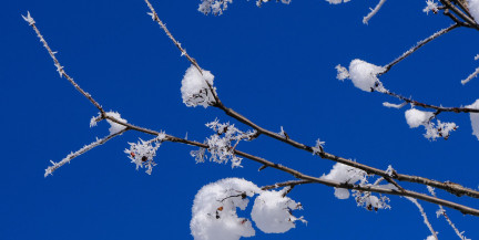 Специалисты заявили об увеличении уровня загрязнения воздуха оксидом азота в некоторых районах Минска