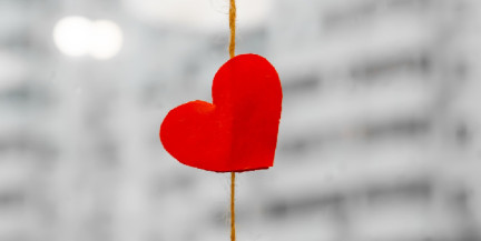 В Госдуме предложили переименовать 14 февраля в «День любви» или «День плюшевой игрушки»