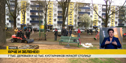 Масштабное озеленение Минска: весной‑летом появится свыше 47 тысяч новых растений