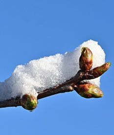 Народные приметы на Масленицу: во что верили наши предки