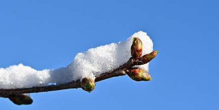 Народные приметы на Масленицу: во что верили наши предки