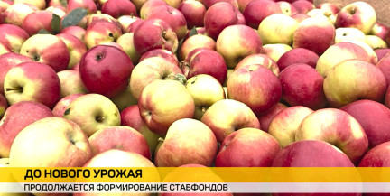 Запасы до нового урожая: в Беларуси формируют стабфонды сезонной продукции