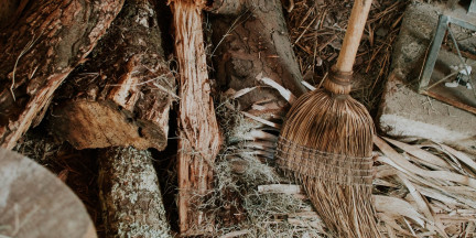 Молодежный субботник пройдет в Минске 4 апреля