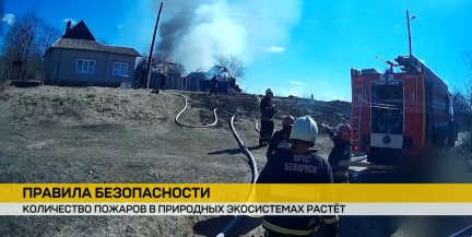 900+ пожаров с начала года в Беларуси: сжигание травы приводит к катастрофам