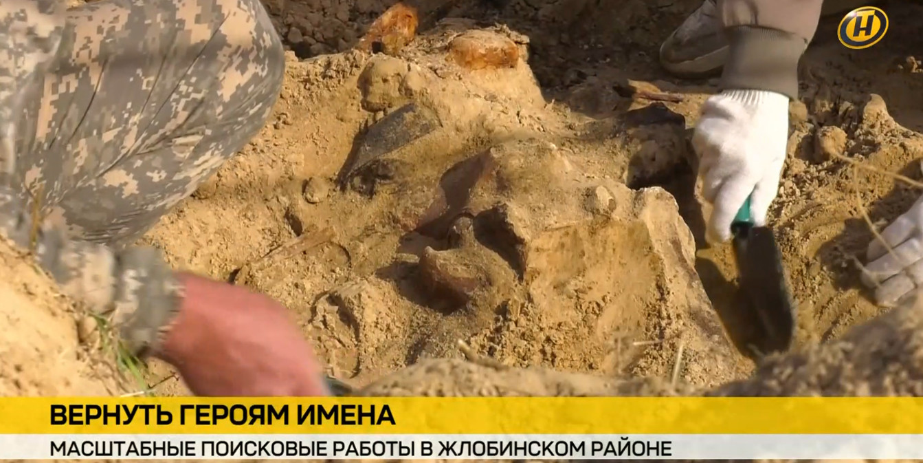 Поисковые работы в Жлобинском районе по эксгумации останков солдат. Руки в перчатках аккуратно расчищают грунт лопаткой. Внизу экрана – плашка новостей ОНТ «Вернуть героям имена».