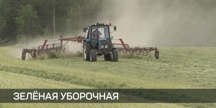 Зеленая уборочная в Беларуси набирает обороты: по всей стране проходит заготовка кормов